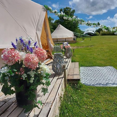 Hopgarden Glamping - Luxury 6m bell tent Wadhurst Exteriör bild