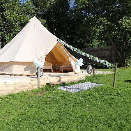 Hopgarden Glamping - Luxury 6m bell tent Wadhurst Exteriör bild