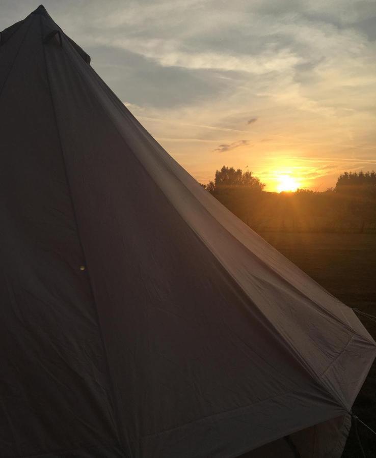 Hopgarden Glamping - Luxury 6m bell tent Wadhurst Exteriör bild