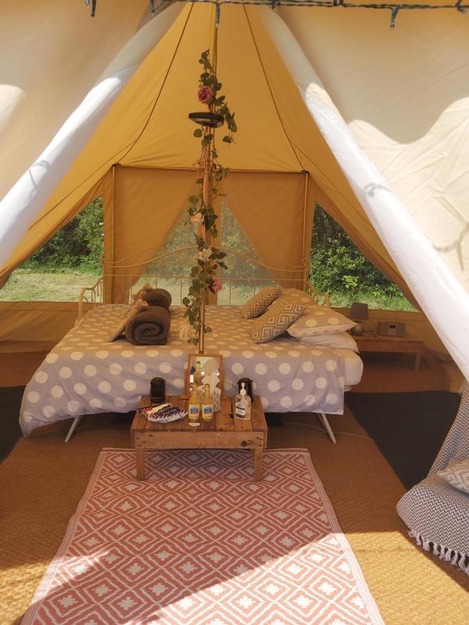Hopgarden Glamping - Luxury 6m bell tent Wadhurst Exteriör bild