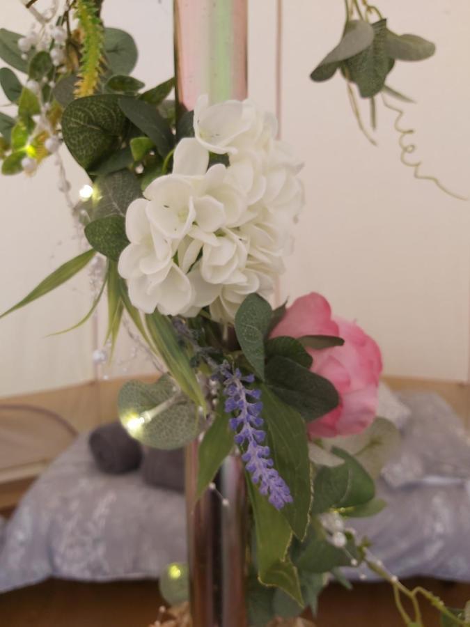 Hopgarden Glamping - Luxury 6m bell tent Wadhurst Exteriör bild