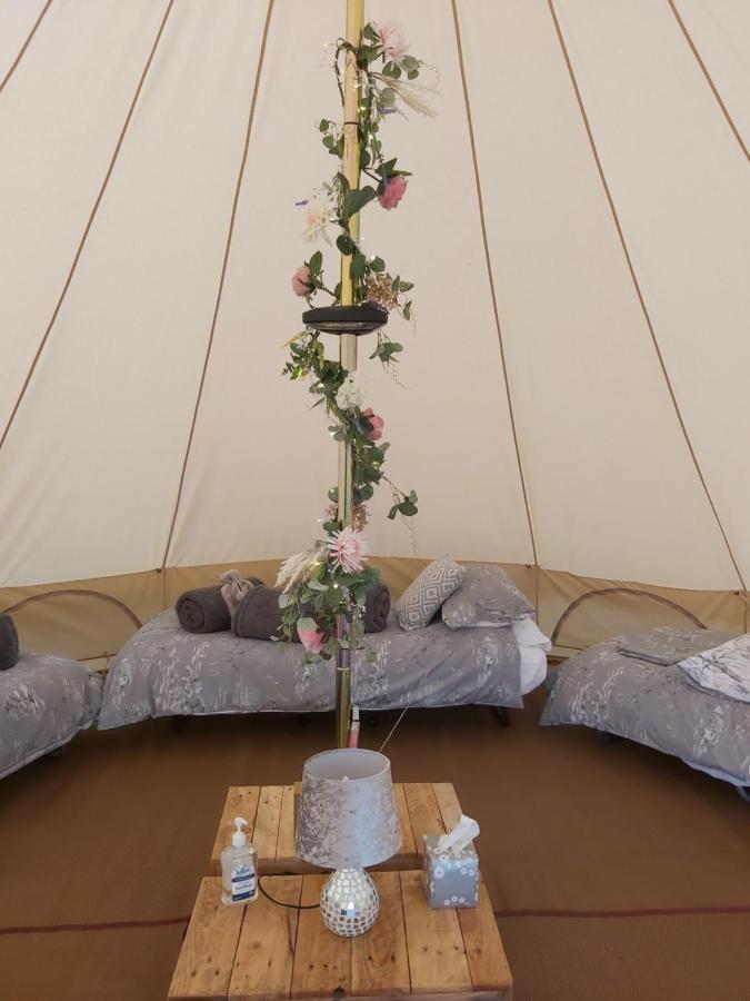 Hopgarden Glamping - Luxury 6m bell tent Wadhurst Exteriör bild