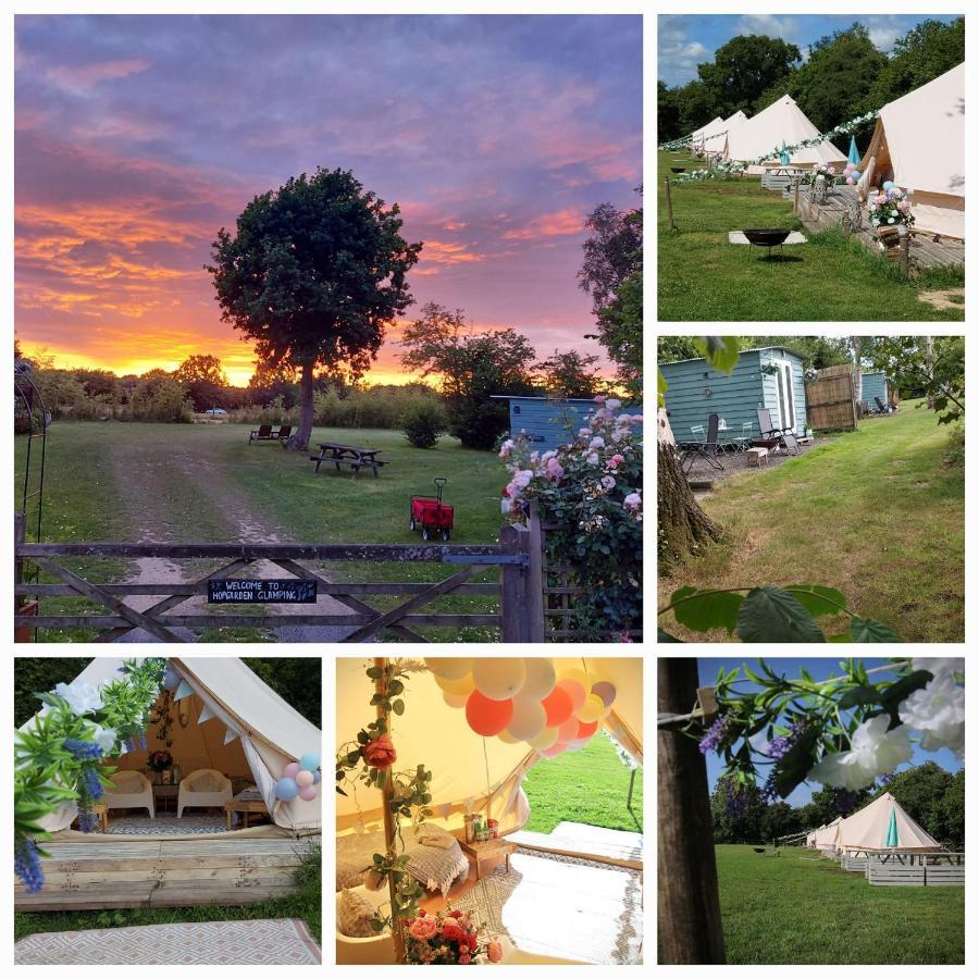 Hopgarden Glamping - Luxury 6m bell tent Wadhurst Exteriör bild