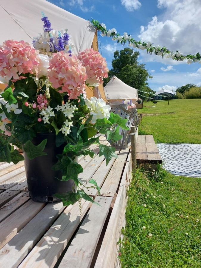 Hopgarden Glamping - Luxury 6m bell tent Wadhurst Exteriör bild