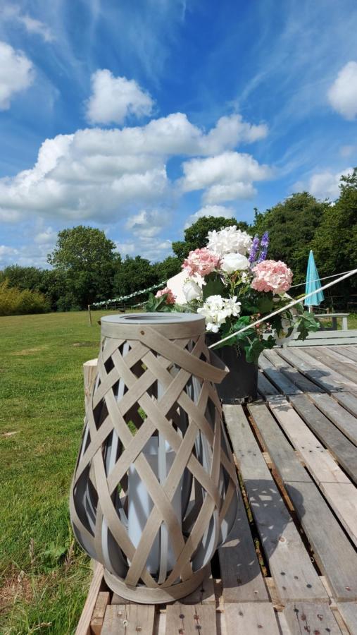 Hopgarden Glamping - Luxury 6m bell tent Wadhurst Exteriör bild