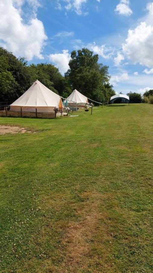 Hopgarden Glamping - Luxury 6m bell tent Wadhurst Exteriör bild