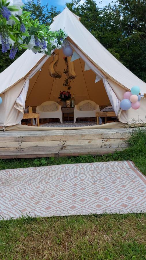 Hopgarden Glamping - Luxury 6m bell tent Wadhurst Exteriör bild