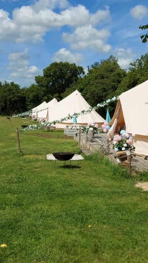 Hopgarden Glamping - Luxury 6m bell tent Wadhurst Exteriör bild