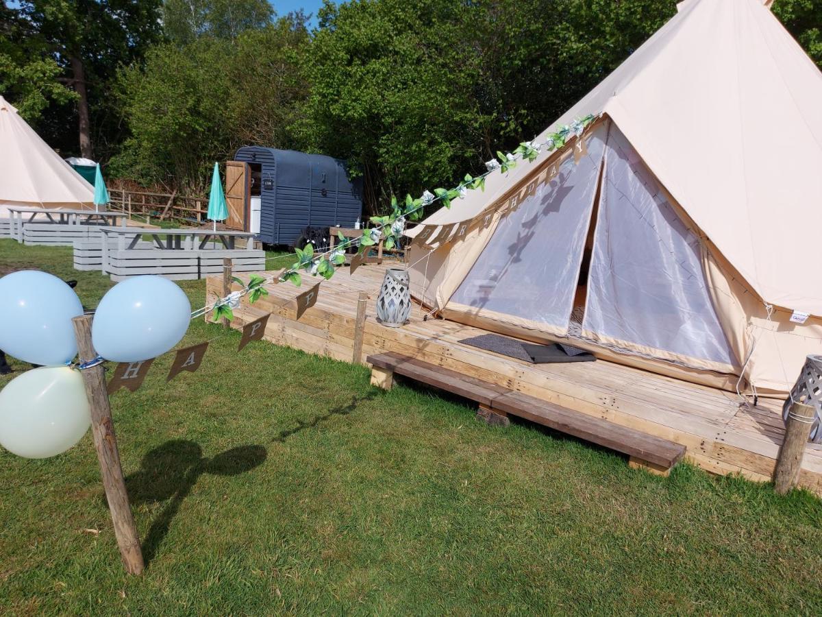 Hopgarden Glamping - Luxury 6m bell tent Wadhurst Exteriör bild