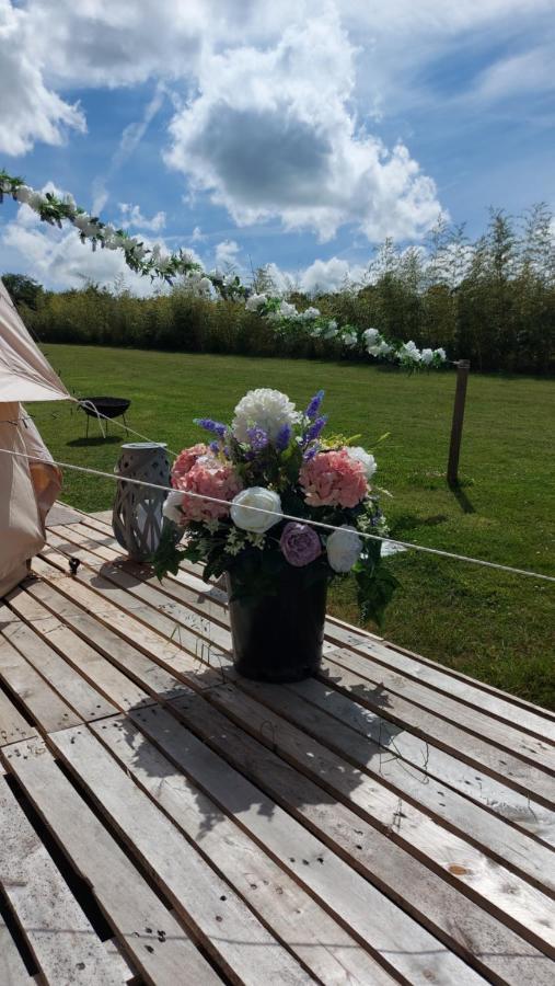 Hopgarden Glamping - Luxury 6m bell tent Wadhurst Exteriör bild