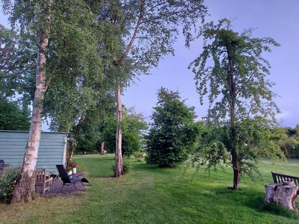 Hopgarden Glamping - Luxury 6m bell tent Wadhurst Exteriör bild
