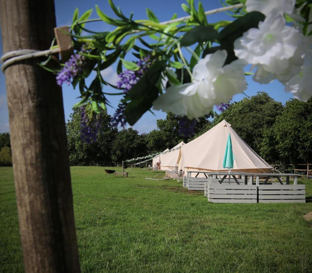 Hopgarden Glamping - Luxury 6m bell tent Wadhurst Exteriör bild